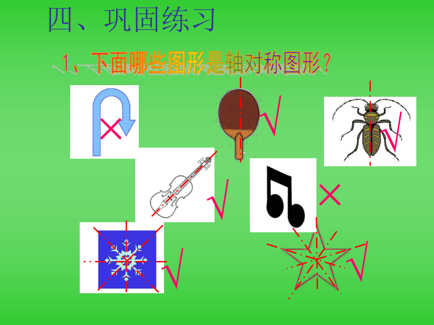 人教版二年級數學下冊3圖形的運動一軸對稱圖形課件共15張ppt