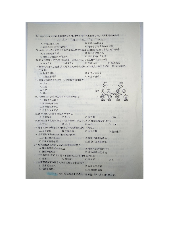 2019年湖南省普通高中学业水平考试模拟卷（四）生物试题（图片版含答案）