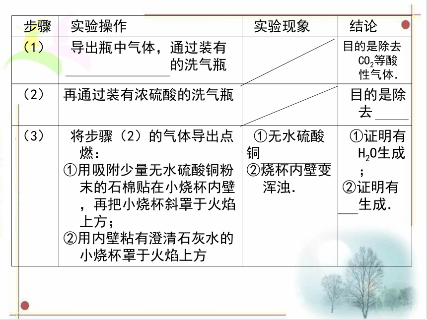 广东省中山市马新中学人教版2016年初中化学中考专题复习课件  专题27  科学探究（共16张PPT）