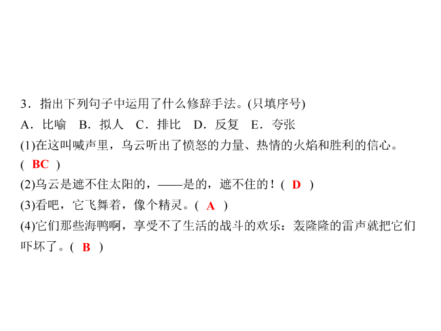 人教版八年级语文下册随堂训练课件：第2单元 9 海燕