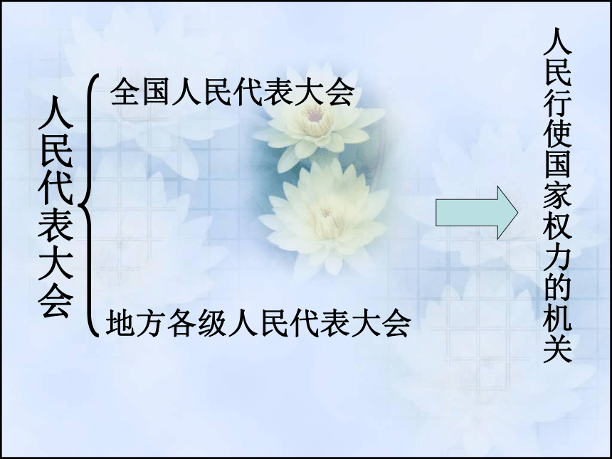 人民当家作主的政治制度[上学期]