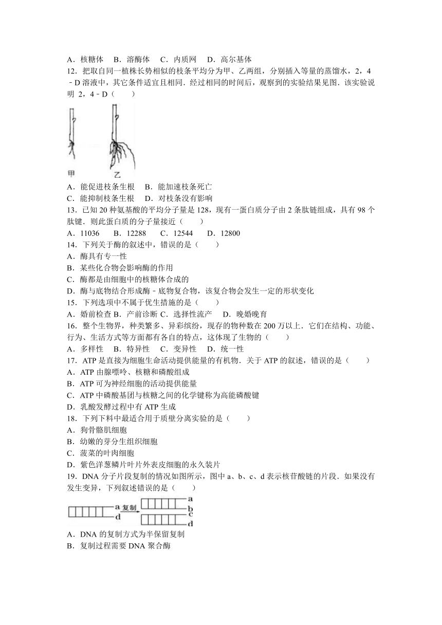 浙江省嘉兴市2015-2016学年高二（下）期末生物试卷（解析版）