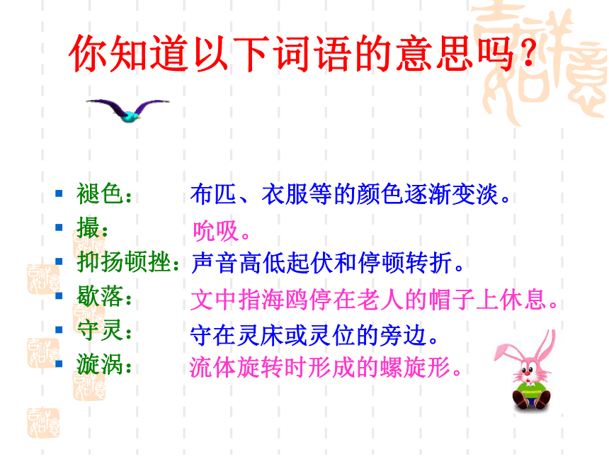 《老人与海鸥》教学课件（34张，重基础）