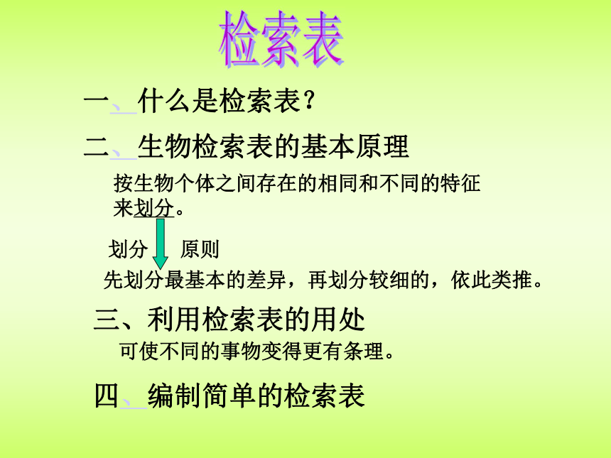 检索表