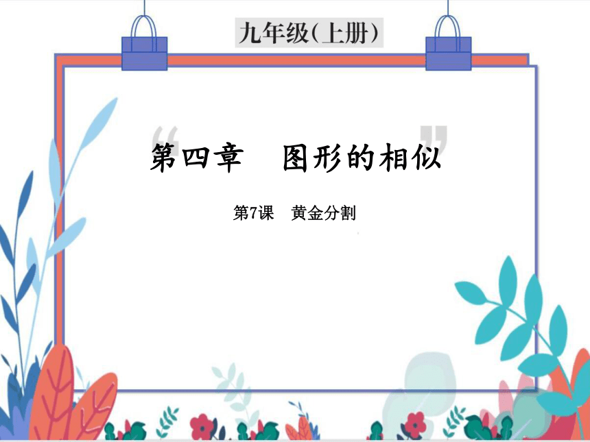 课件预览