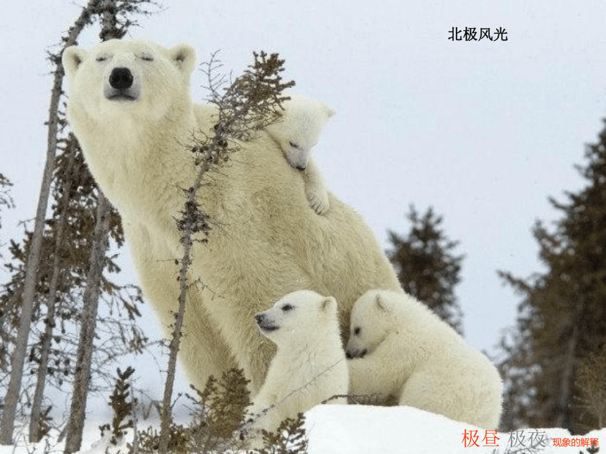 极昼和极夜的解释 课件