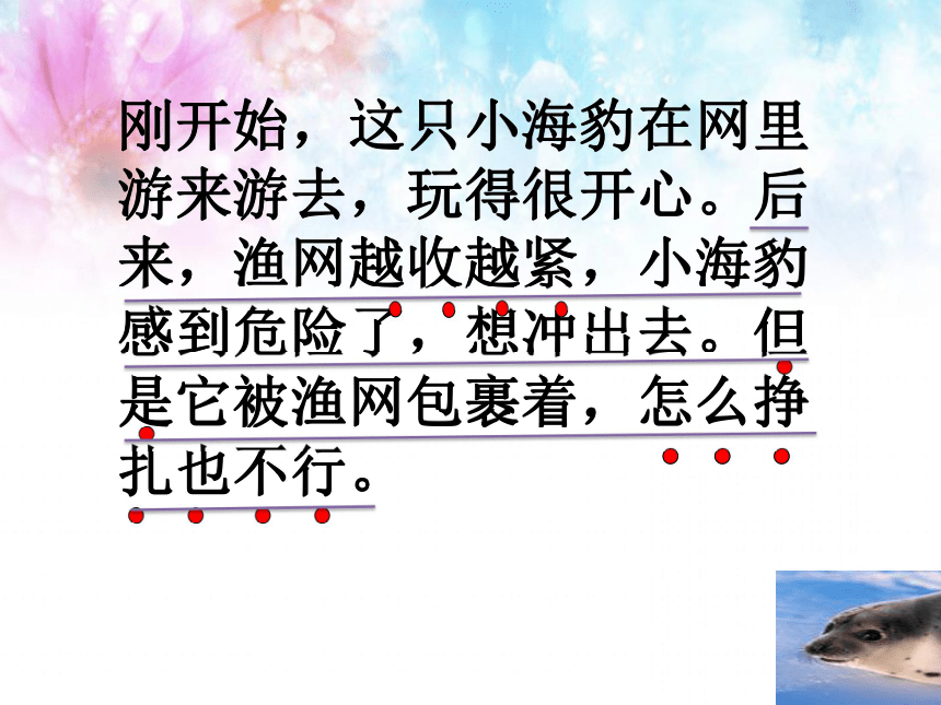 语文二年级下北京版3.12《幸运的小海豹》课件2