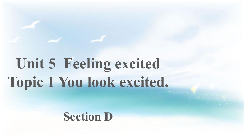 Unit  5  Feeling excited Topic 1 You look excited Section D 课件（19张PPT）