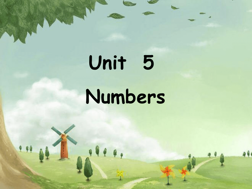 Unit 5 Numbers 课件