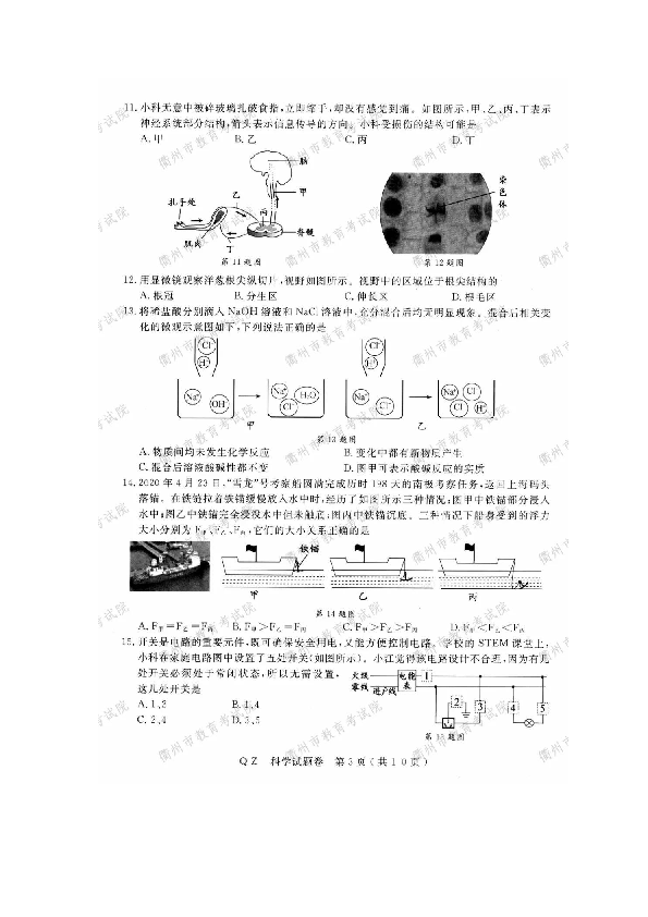 浙江省2020年初中学业水平考试(衢州卷)科学试题卷（图片版 有答案）