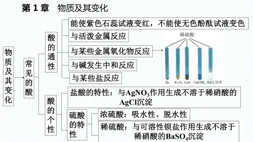 第1章物质及其变化复习