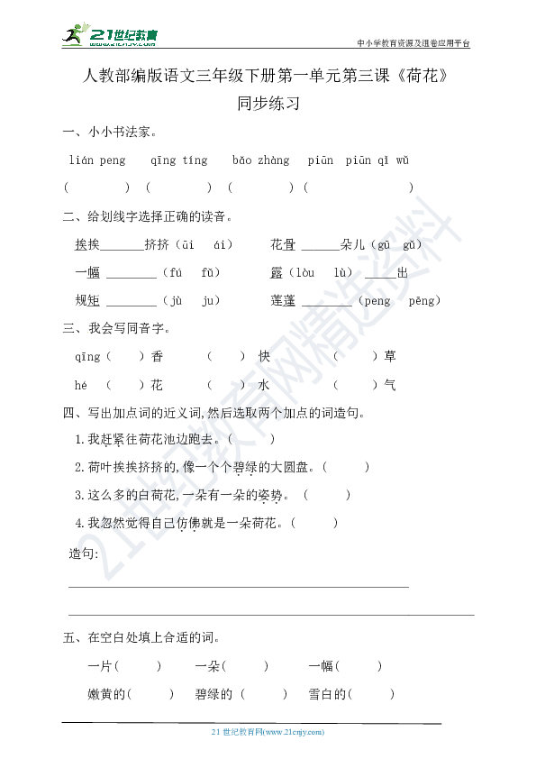 第3课《荷花》同步练习题