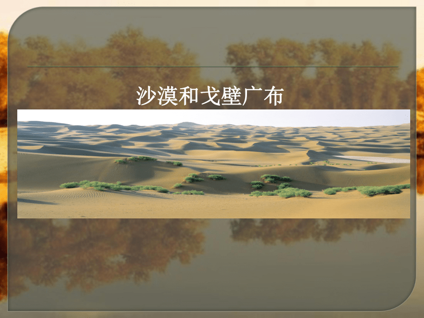 8.2 干旱的宝地──塔里木盆地 课件 （共39张PPT）