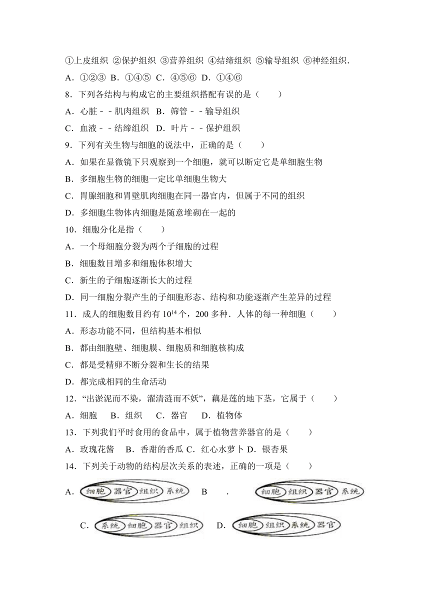 贵州省铜仁地区石阡县汤山中学2016-2017学年七年级（上）月考生物试卷（11月份）（解析版）