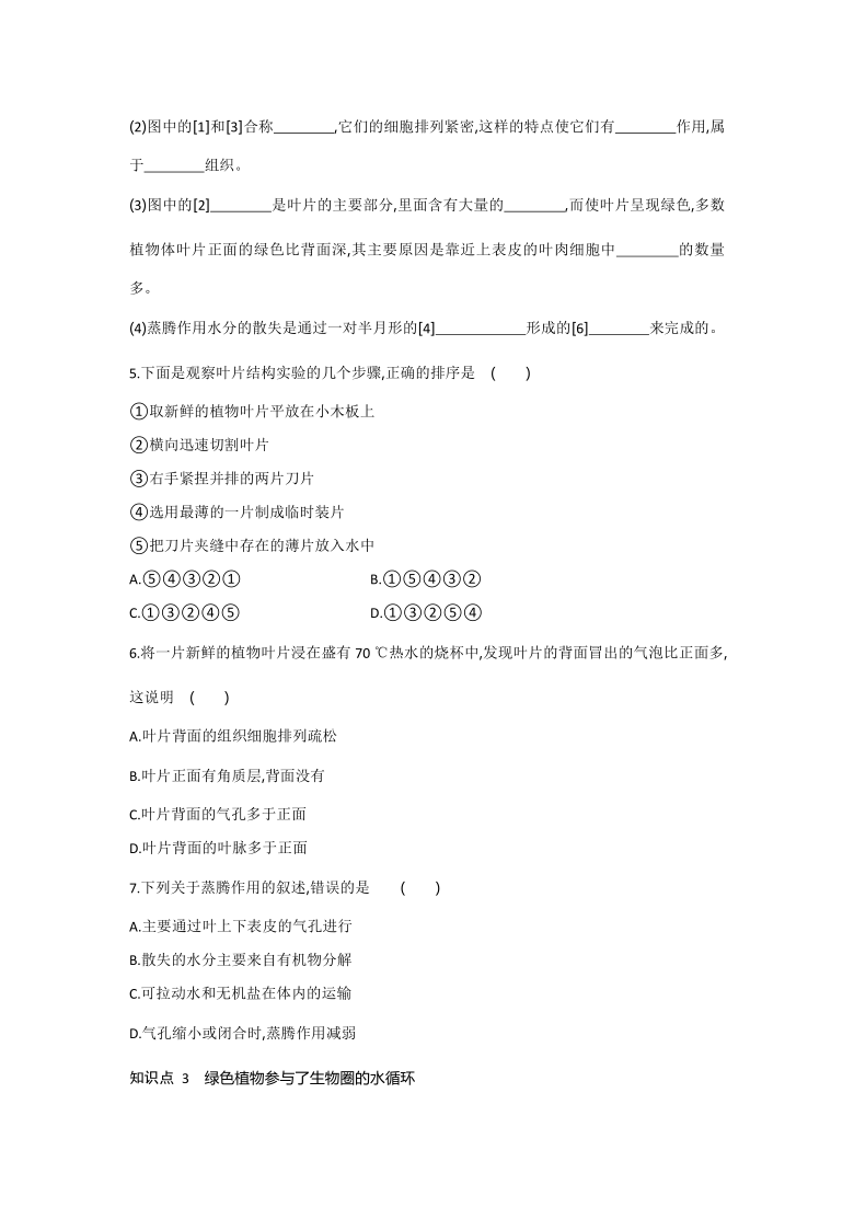 2021-2022学年人教版生物七年级上册第三章  绿色植物与生物圈的水循环---同步练习  （word版 含解析）