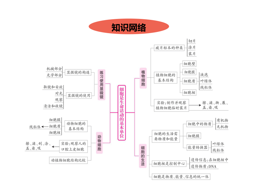 2021年广东中考生物一轮复习课件第二单元第一章细胞是生命活动的基本