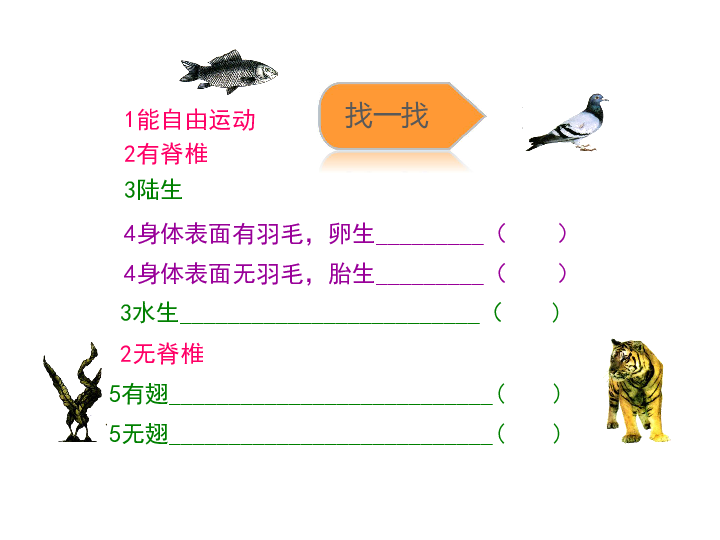 蘇科版七下生物第五單元第14章生物的命名和分類第2節生物檢索表講授