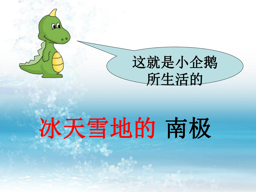 二年级语文上册课件 小企鹅和妈妈（北京版）