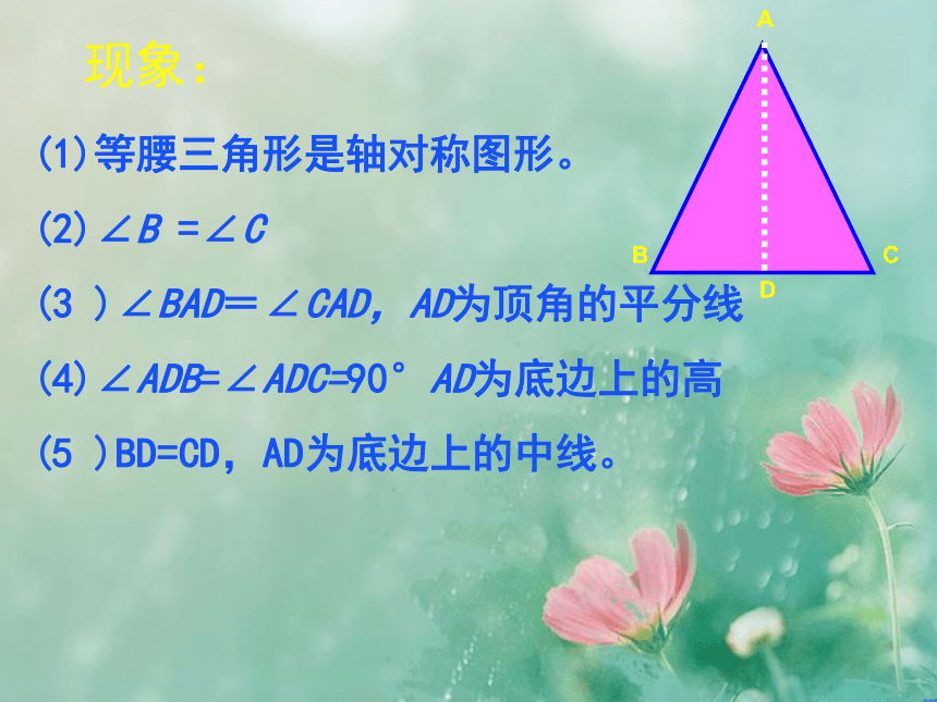 5.3.1简单的轴对称图形(一)课件