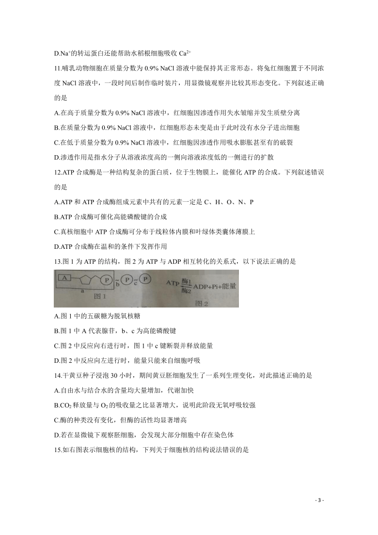 2020-2021学年河南省豫南九校高一下学期第一次联考 生物 解析版