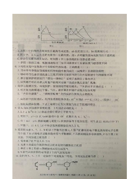 宁夏吴忠市2019届高三上学期期末考试（一轮联考）理科综合试题 扫描版含答案