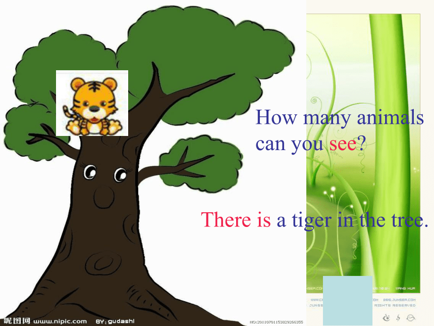 英语一年级下外研版(一起)《Module7Unit 1 There is a cat in the tree》课件