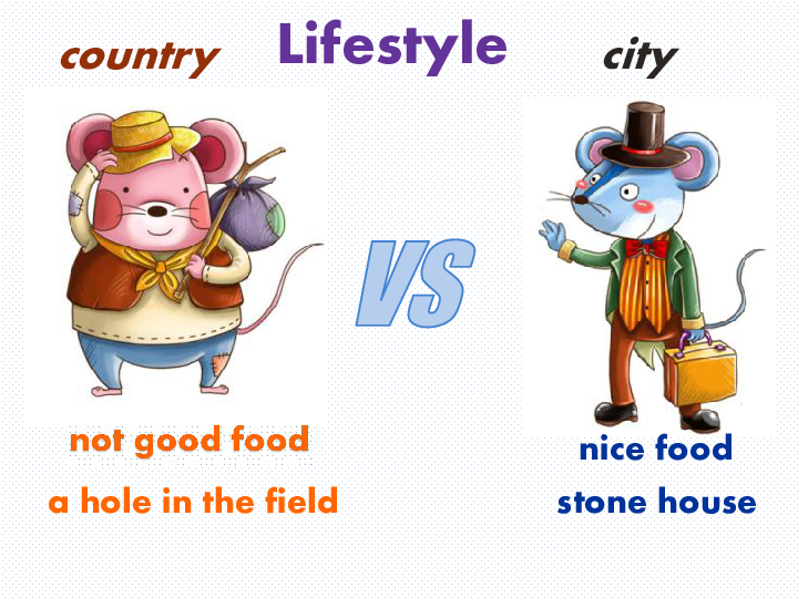 北师大版必修一 英语unit 1 Lifestyles Lesson 4 City and Country课件 (共29张PPT)