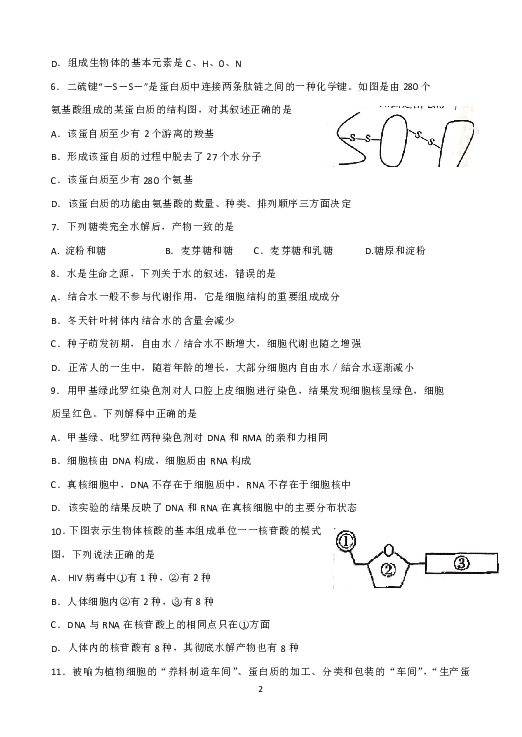 湖南省衡阳县2018-2019学年高一上学期期末质量检测生物试题