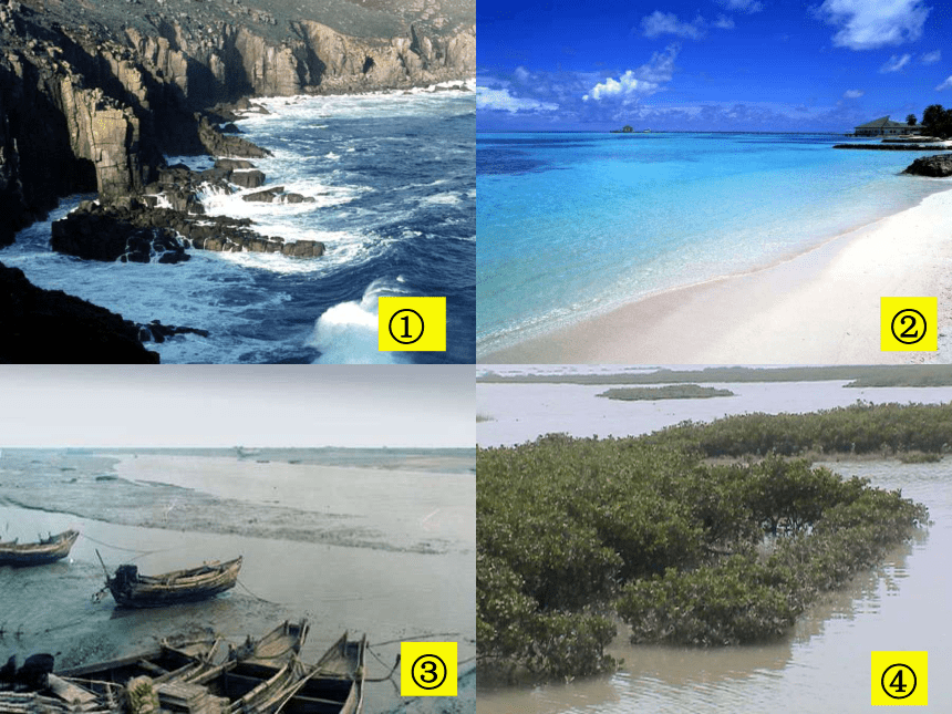 鲁教版选修2第一单元第三节海岸带和全球海平面变化（共33张PPT）