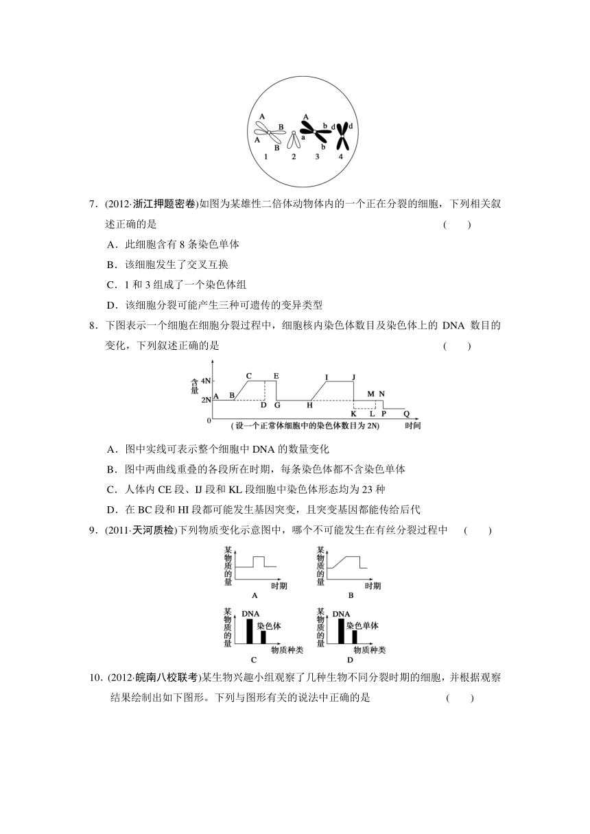 高中生物高考专区二轮专题突破训练5细胞的生命历程