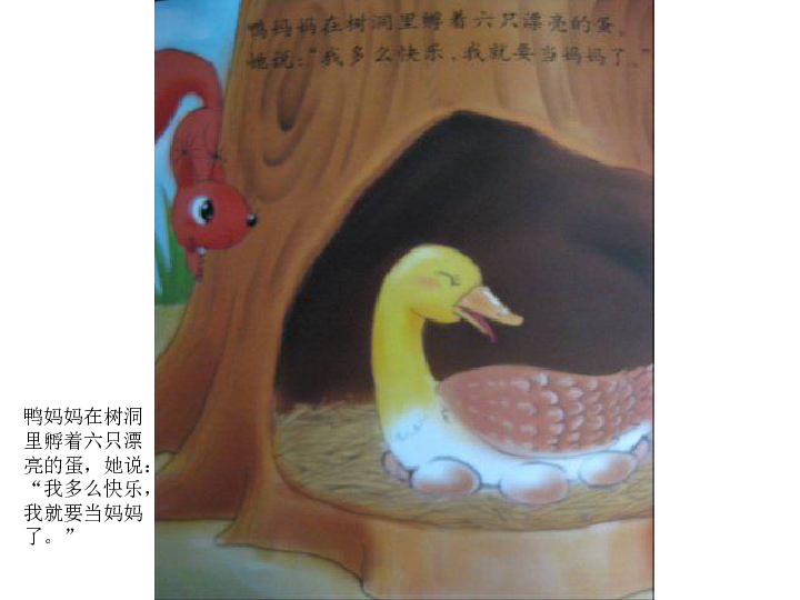划圈儿的小小鸭 一年级语文绘本故事阅读(PPT版）