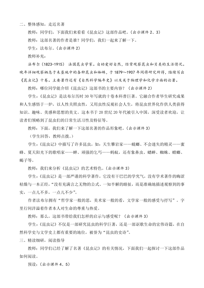 课件预览