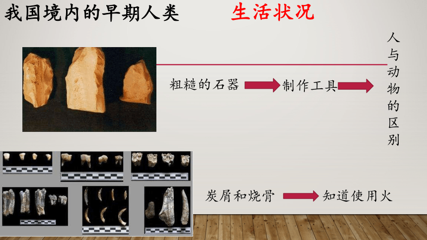 第一课 中国早期人类的代表——北京人