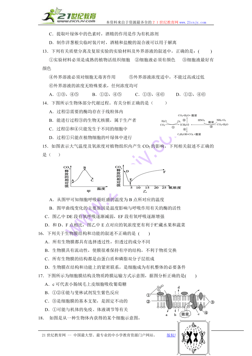 宁夏贺兰县2013届高三第一次联考生物试题 Word版无答案