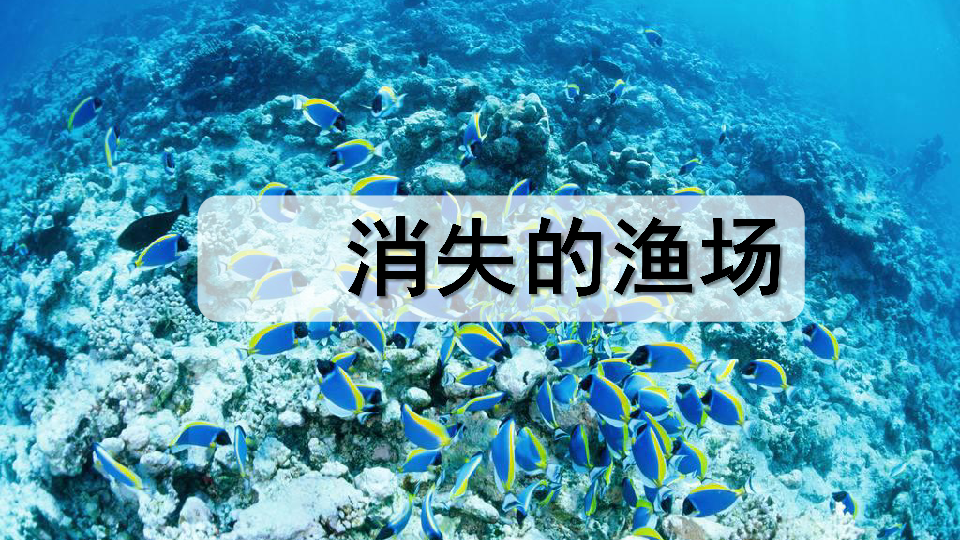 消失的渔场-海洋生物资源的开发与保护课件（20张）