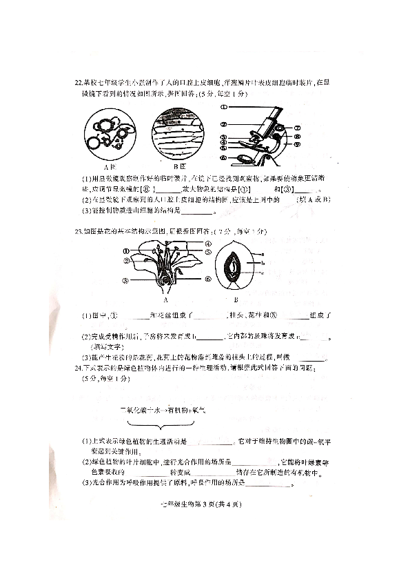 吉林省德惠市2019-2020学年七年级上学期期末考试生物试题（扫描版，含答案）