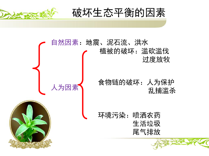 六年级下册科学课件 -4.4 生态平衡｜苏教版(共21张PPT)