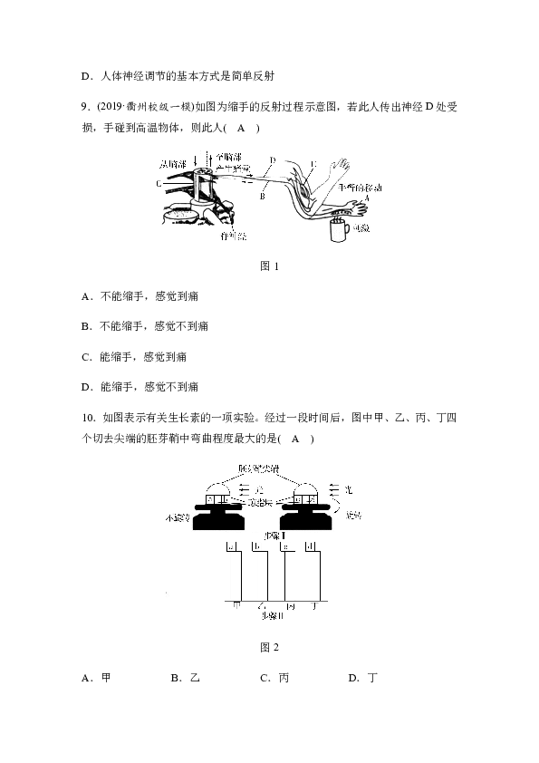 2020春华东师大版科学八下 专题突破练——生命活动的调节（含答案）