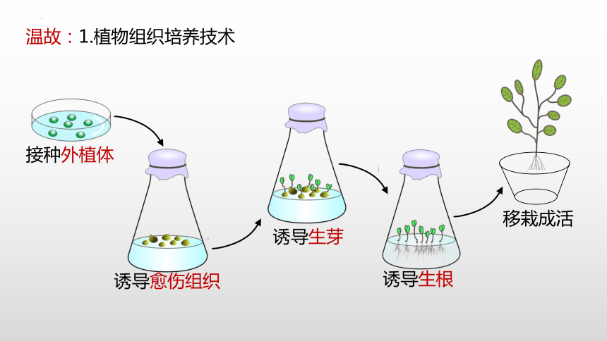 细胞工程ppt图片