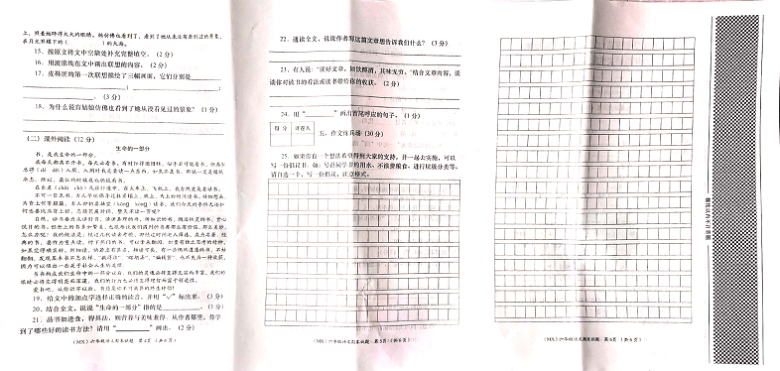 甘肃省定西市岷县2020-2021学年第一学期六年级语文期末试题 （图片版，无答案）