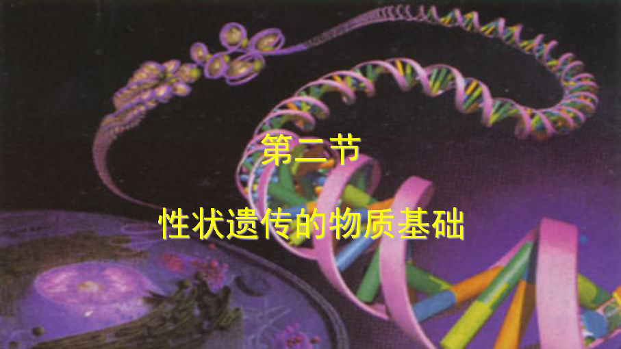 北师大版八年级上册生物  20.2 性状遗传的物质基础 课件 (25张PPT)