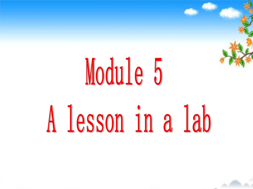 Module 5 A Lesson in a Lab grammar倍数的表达课件