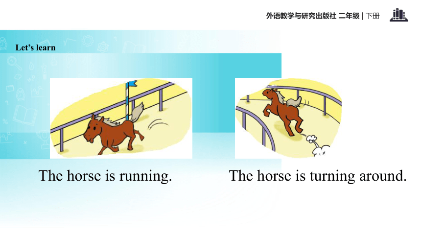 Module 8 Unit 2 The horse is turning around 课件