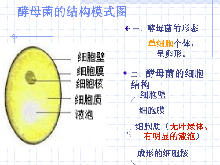 第二章真菌的控制与利用湖南省衡阳市衡东县