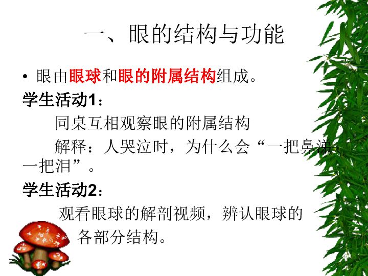 北京版七下生物  8.3 感觉和感觉器官  课件（25张PPT）