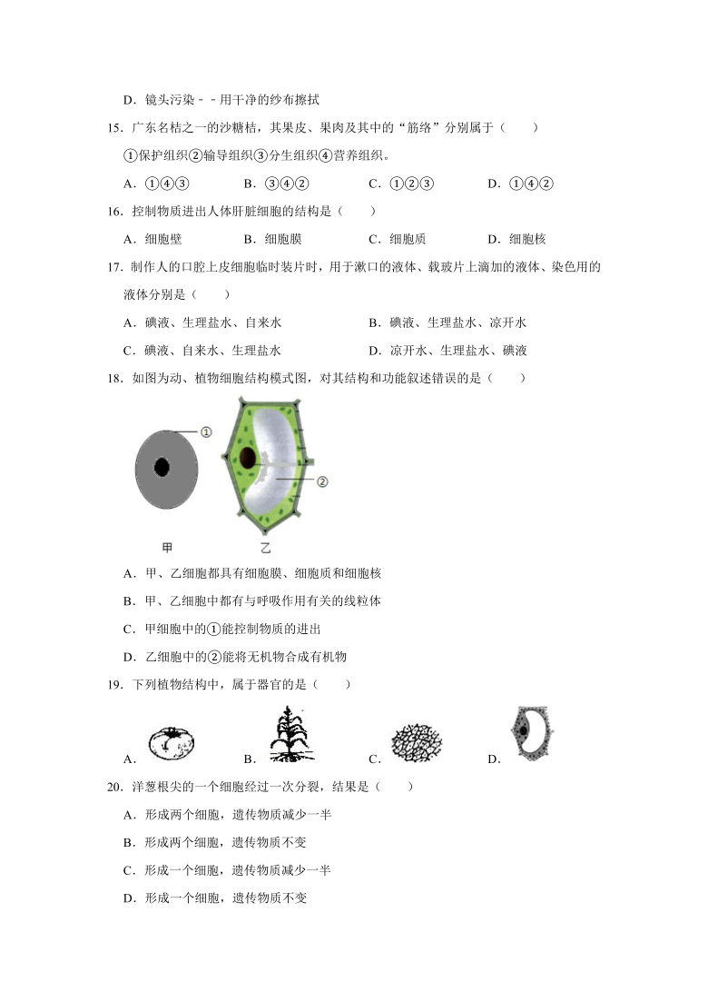 2020-2021学年天津市东丽区七年级（上）期中生物试卷  （word版含解析）