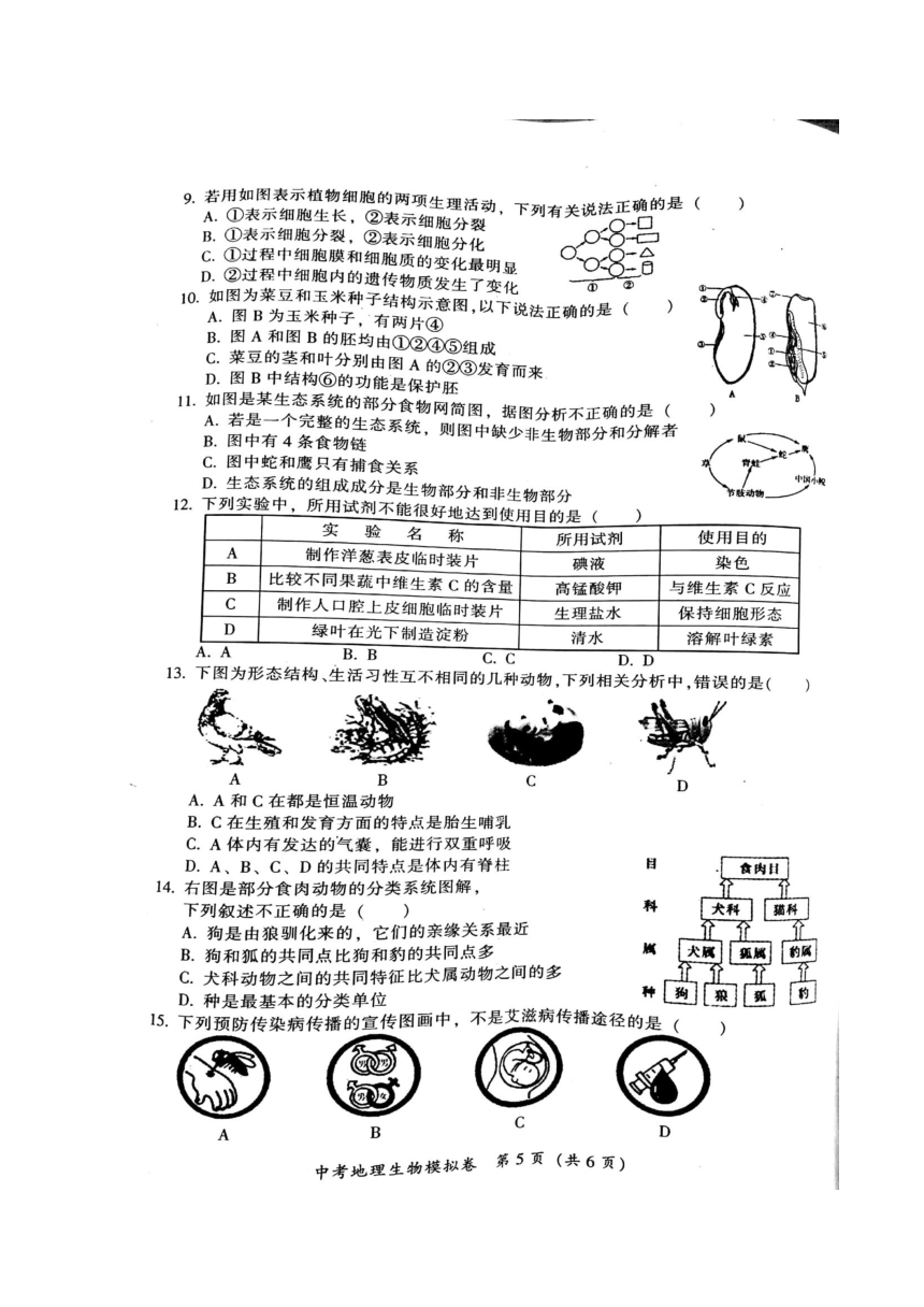 江西省吉安市吉州区2018届九年级生物5月模拟考试试题（扫描版）