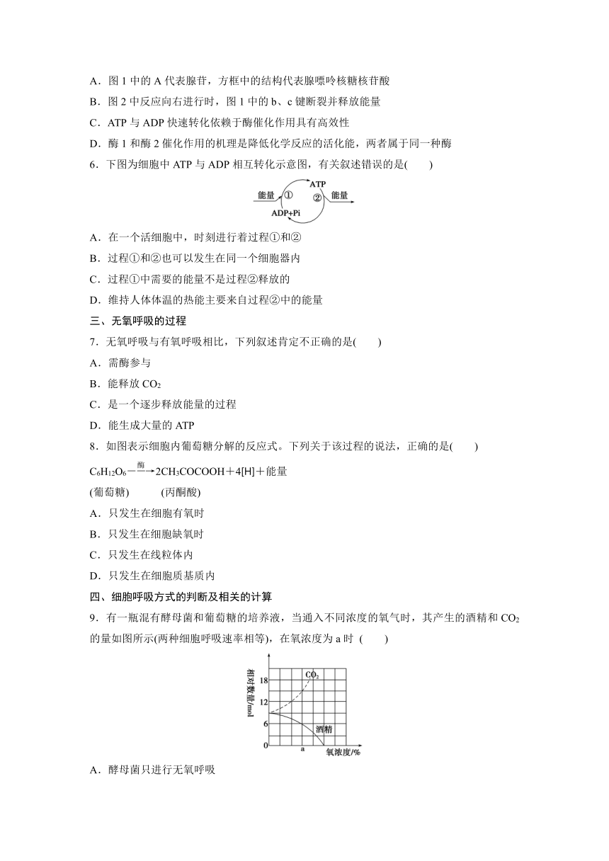 【寒假作业】假期培优解决方案 寒假专题突破练 高一生物（通用版）专题十一　ATP与无氧呼吸