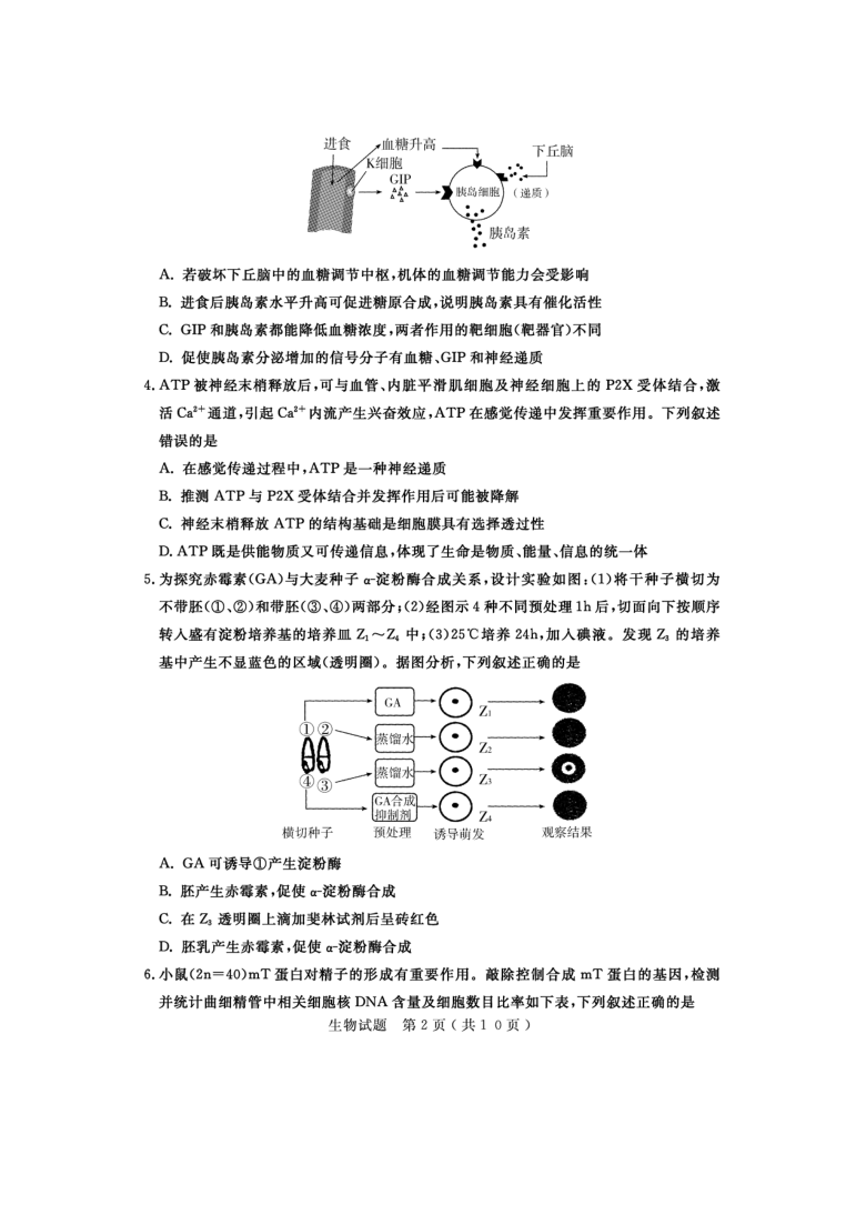 山东省济宁市2021届高三下学期3月模拟（一模）生物试题       PDF版含答案