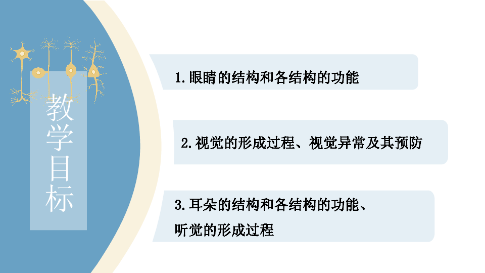 4.12.2感受器和感觉器官-北师大版七年级生物下册课件(共35张PPT)